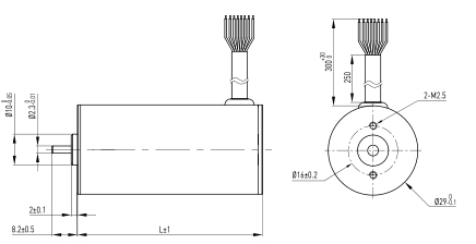 BB 29 Routine DETAIL